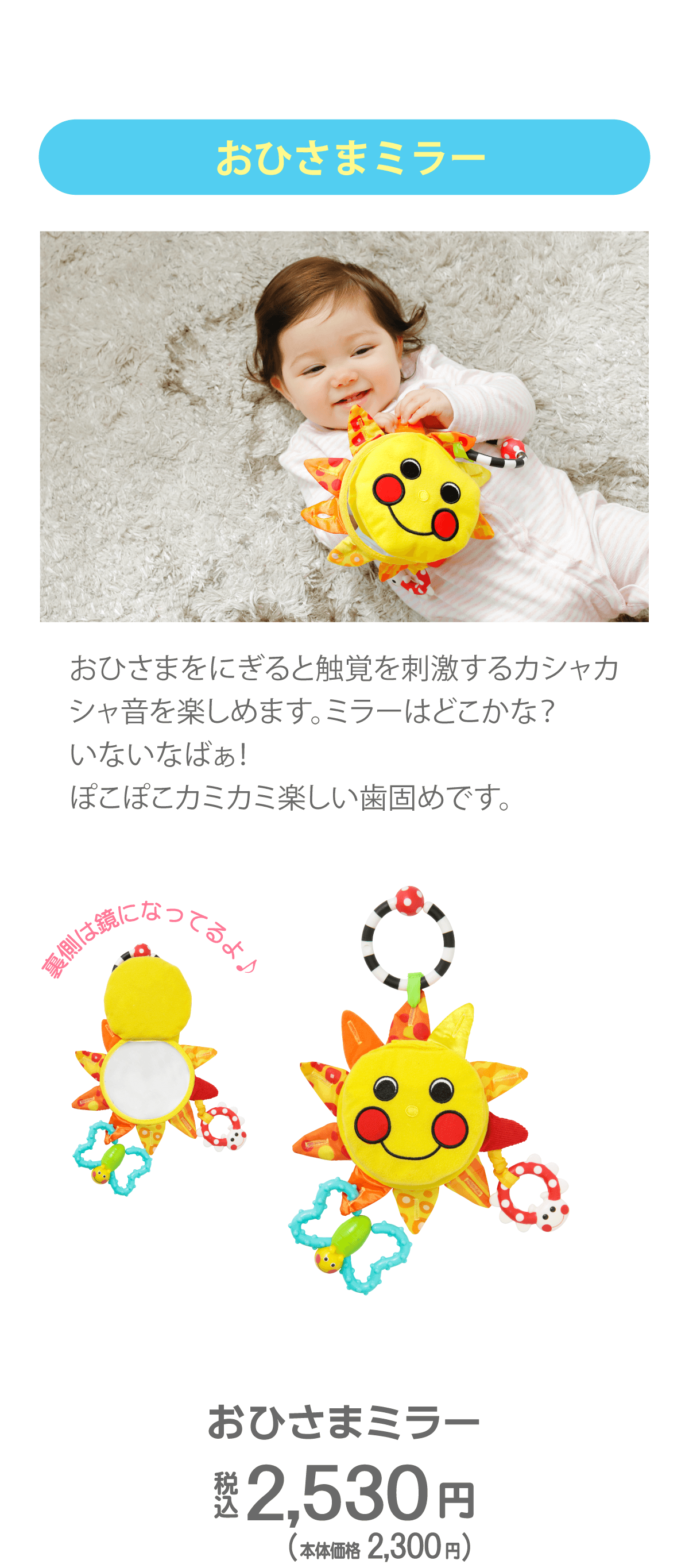 知育玩具サッシ―のおもちゃ